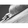 Snowboard board men Jones 2026 Stratos Black