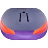 Wingboard JP-Australia 2026 XR IPR