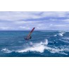 Windsurfboard JP-Australia 2026 Magic Wave Purple S-TEC